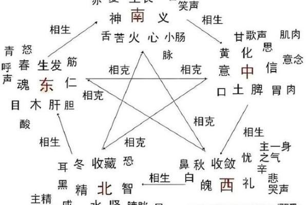 地支与五行的联系与影响