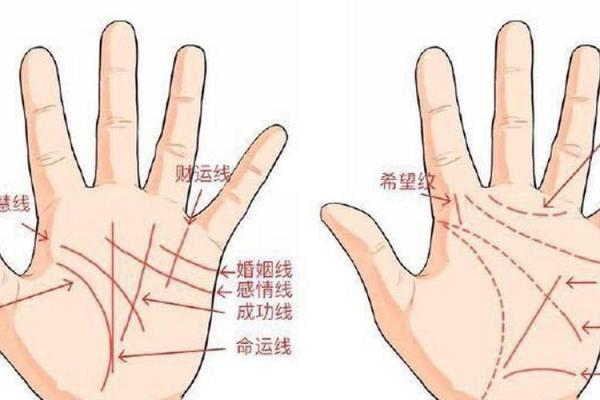 手相解读结婚时间：如何根据掌纹判断婚姻运势