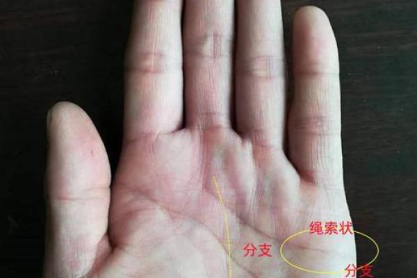 女性手相中最显著的幸运与不幸迹象