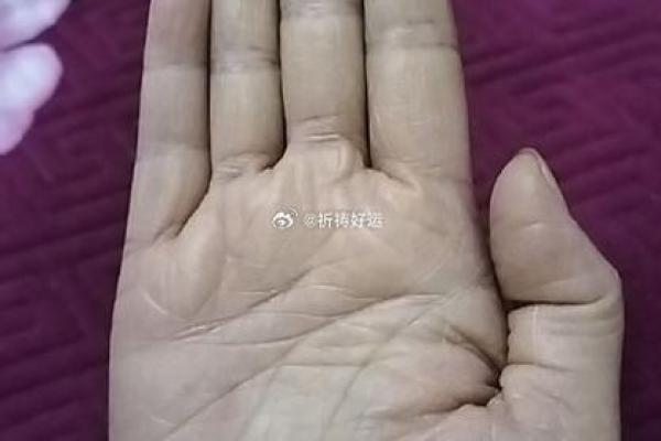 女性手相中最显著的幸运与不幸迹象