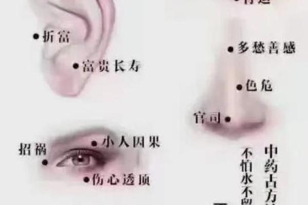 痣相不宜出是什么意思及其在面相学中的影响分析