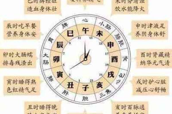 地支与时间的奇妙对应关系解析
