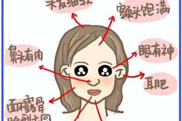 面相分析技巧：从五官看透性格特征