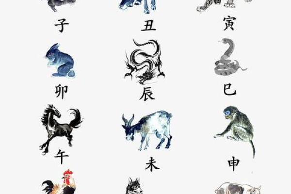 地支与生肖的关系：十地支的深层含义