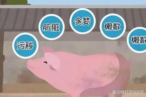 汉族饮食文化与日常生活习惯的关联