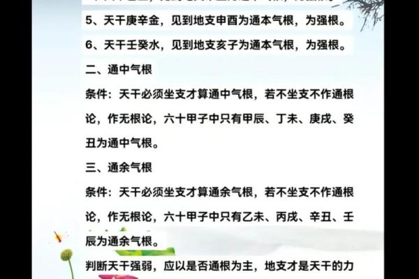 八字过弱能否改善？命理专家解答
