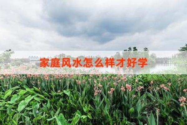家居风水入门指南：如何打造和谐居住环境