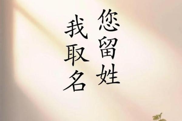 宁字取名的寓意与象征意义探讨