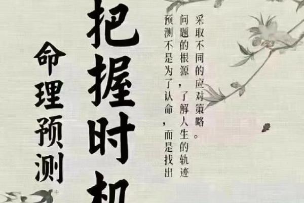 免费算命运势大揭秘 你的人生将如何转变