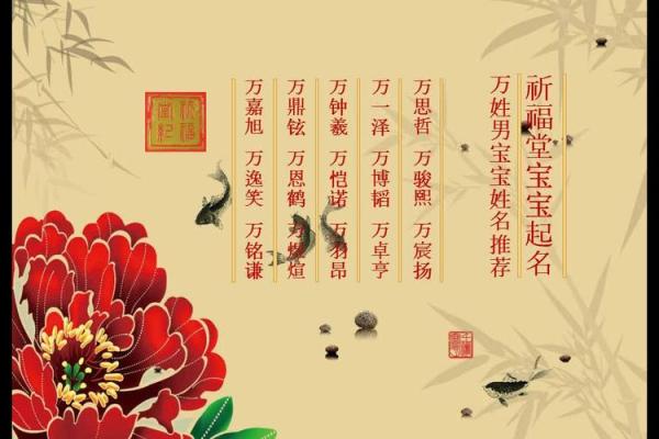 万姓起名技巧与寓意解析