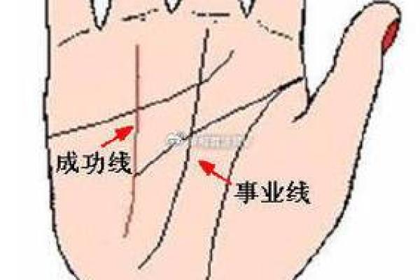 从手相女图解看女性一生中的财富与感情走向