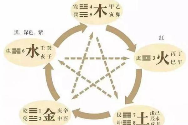 李五行属性解析与性格特点分析