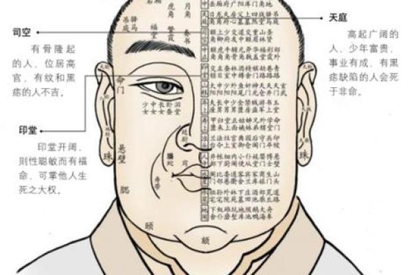 面相解析：如何通过面部特征解读个性与运势