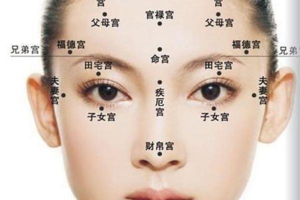 面相与命运：通过观察面部细节预测未来走向