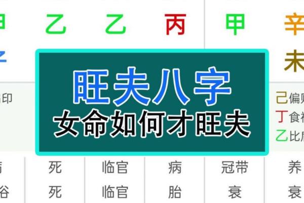 命运不再迷茫，免费一对一算命解答