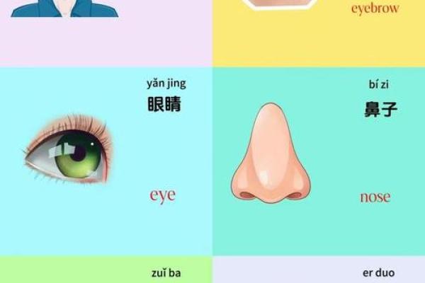 如何通过面相判断一个人的健康状况