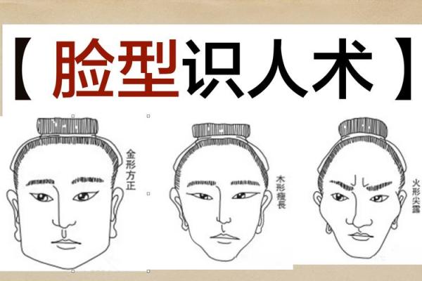 解析高颧骨面相：性格与运势如何相互交织