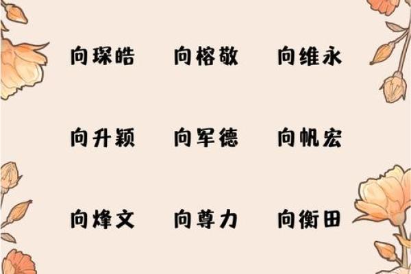 高效公司起名技巧，轻松选出吸引客户的名字