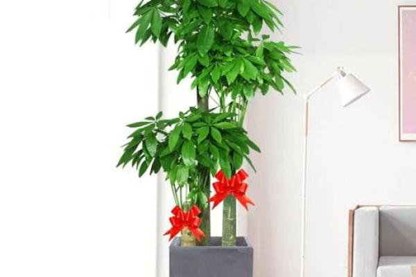 家居风水调整助你财源滚滚
