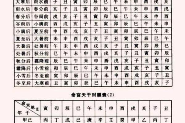 八字带华盖的含义及其对命运的影响解析