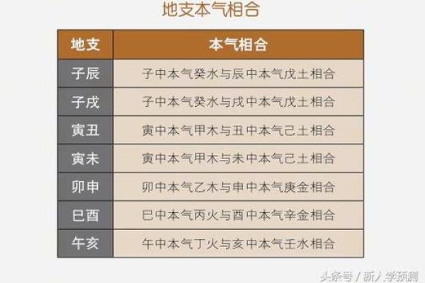 八字网站中的命理分析方法与应用技巧