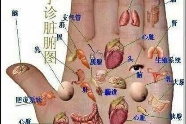 如何通过面相痣看男士的财富与事业运