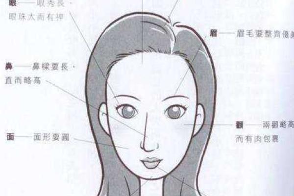 通过面相了解子女未来发展