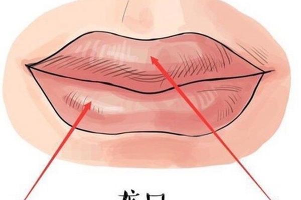 揭秘旺夫面相背后的命理玄机