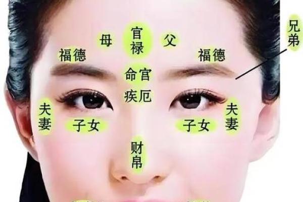 面相学中的鼻子解析：了解自己与他人的关键