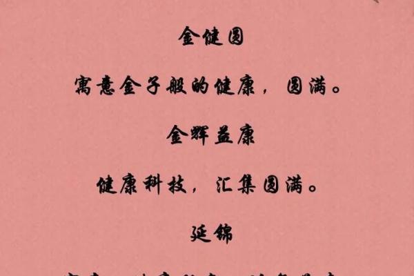 为配送公司起名：如何打造一个既有创意又易记的品牌名称