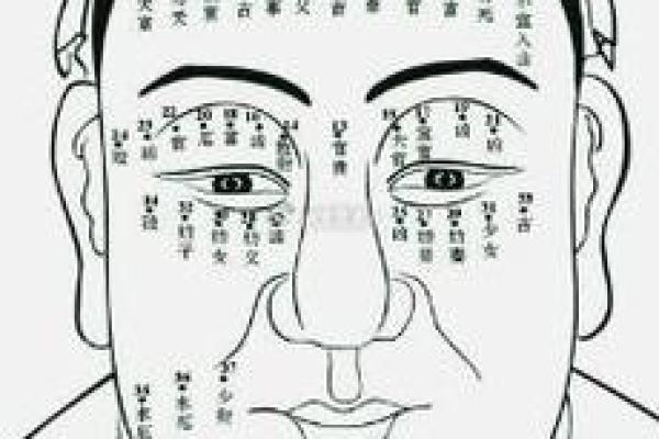向华强面相解析：从面相看其成功之道与个性特征
