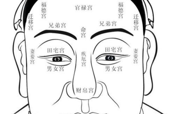 向华强面相解析：从面相看其成功之道与个性特征