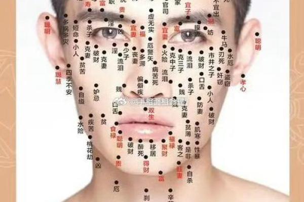 面相学中的耳朵：如何通过耳朵识别健康与性格