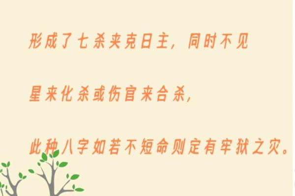 免费命理八字排盘，探索人生潜力与挑战