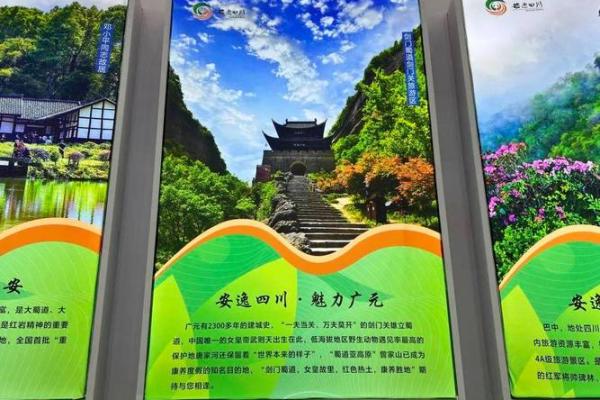 走进四川：了解地方文化中的独特元素
