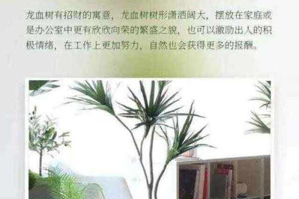 权威家居风水法则：如何布置家居助运增福