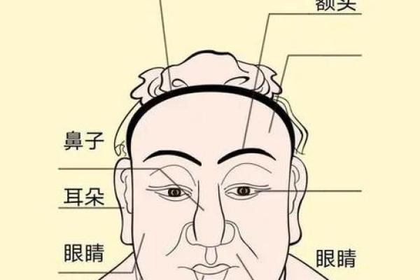 面相学基础：入门者如何识别五官的深层含义