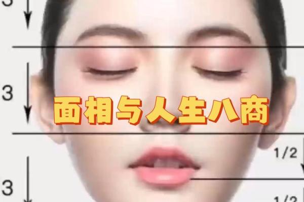面相学基础：入门者如何识别五官的深层含义