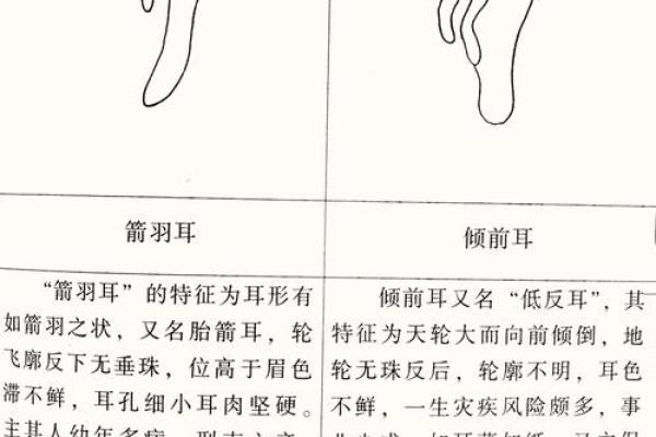 揭秘耳朵在面相学中的深层含义