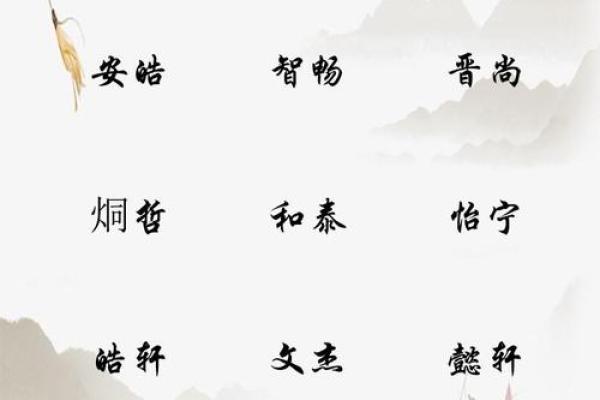给男孩起个好听的名字：独特而有意义的选择
