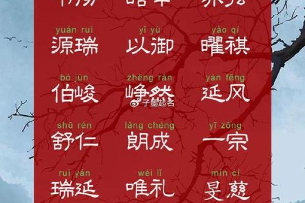 给男孩起个好听的名字：独特而有意义的选择