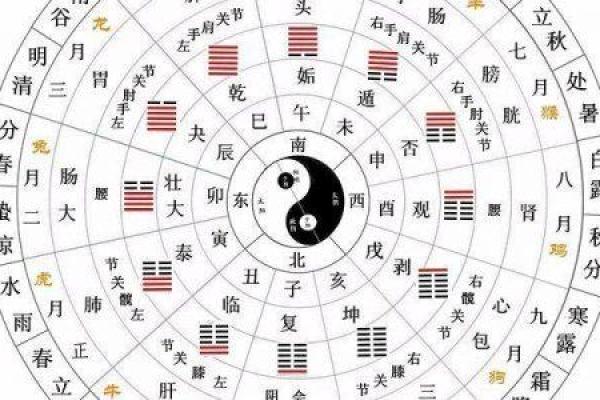 探索免费生辰八字测算，解读你的命运密码