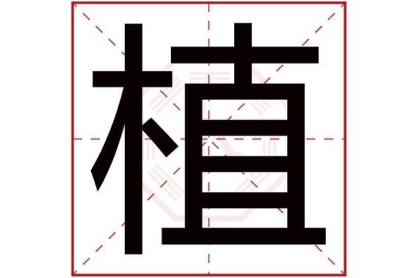 钥字在起名中的寓意与象征意义解析