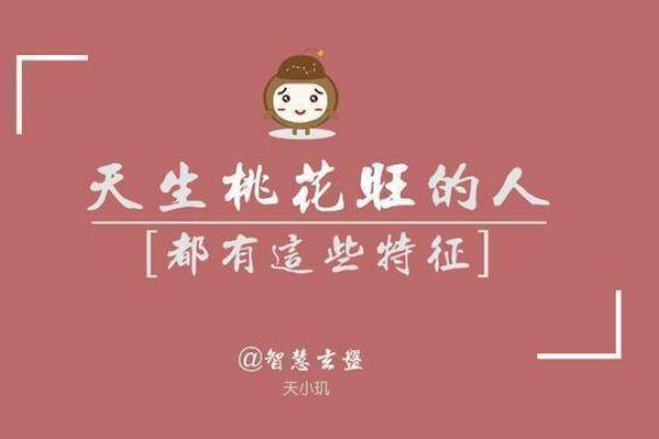 免费八字查询工具助你精准把握未来运势