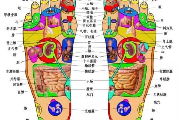 右脚大拇指上的痣象征着什么意义和预兆