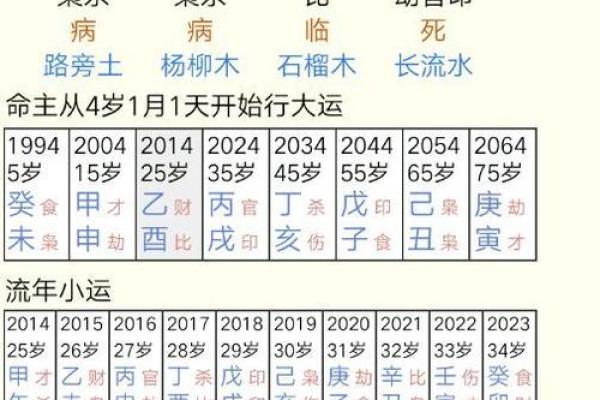 如何根据新生儿生辰八字为其命运铺路
