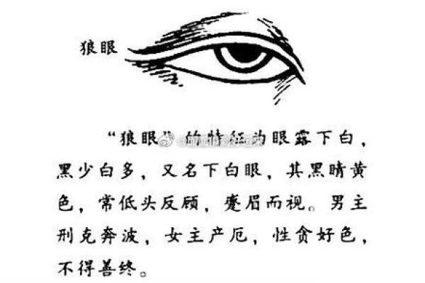 眼睛面相解析：通过眼睛看出性格与命运