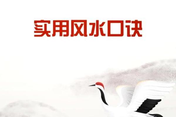 家居风水揭秘：让家更舒适、更有运气