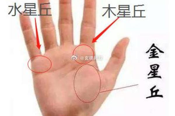 从痣相看你的事业和婚姻运