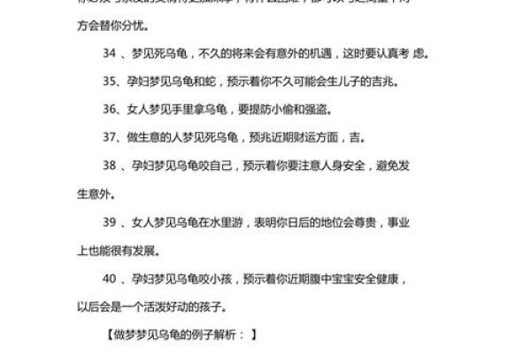 通过梦见乌龟了解你内心的深层需求